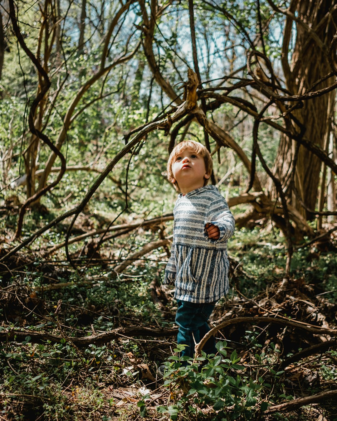 Creating a Nature-Connected Childhood